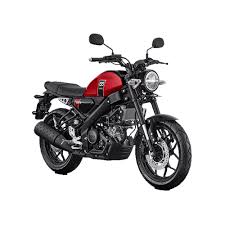 YAMAHA XSR